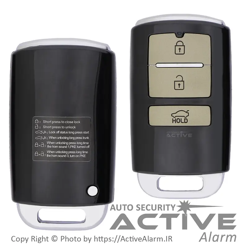 دزدگیر و کیلس استارتر اسکایپین SkyPine