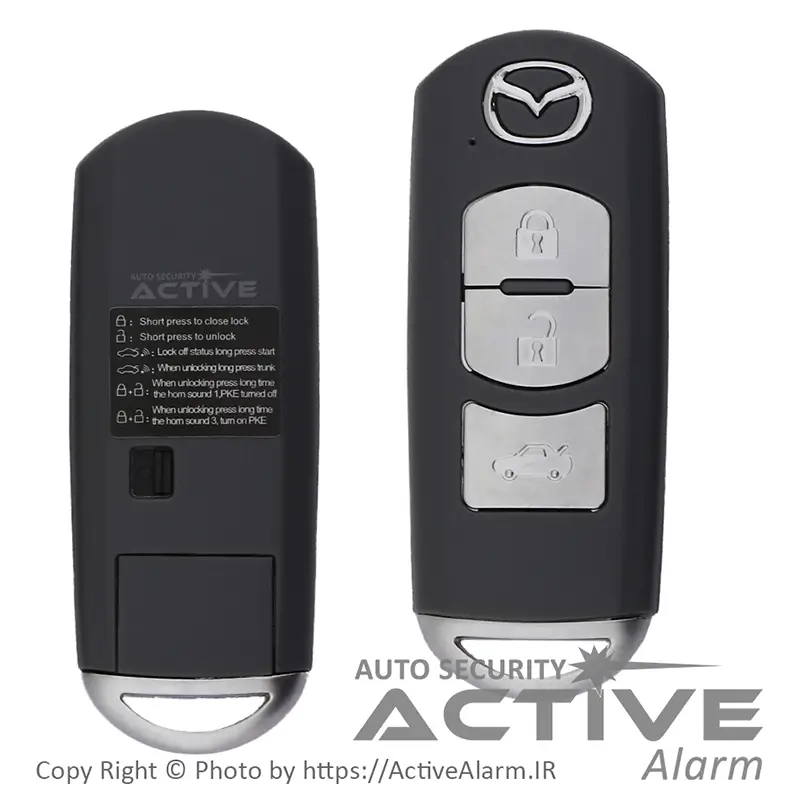 دزدگیر و کیلس استارتر اسکایپین SkyPine