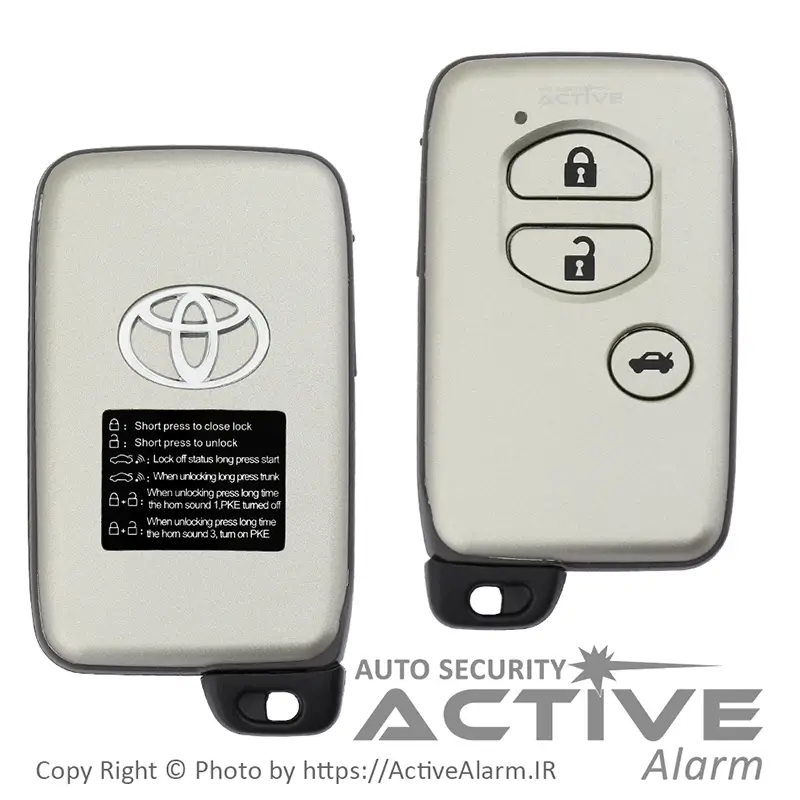 دزدگیر و کیلس استارتر اسکایپین SkyPine