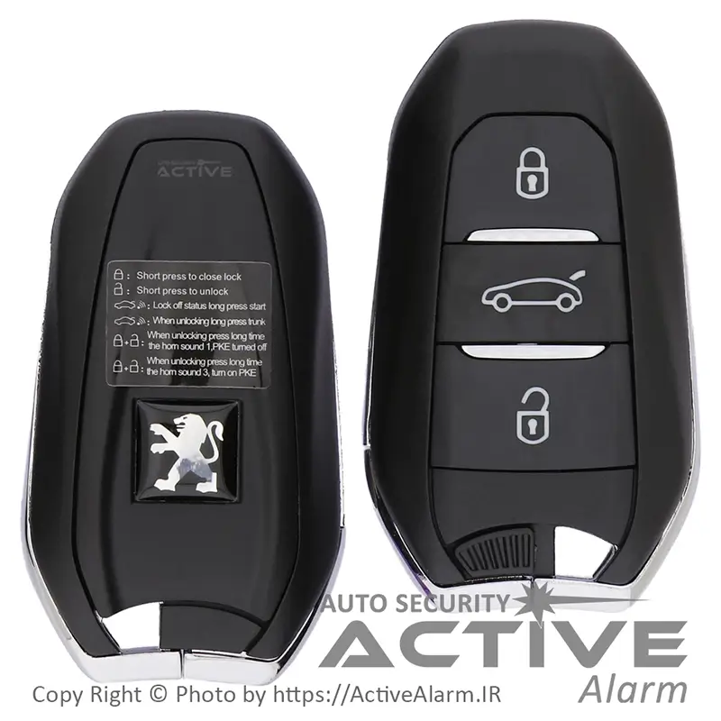 دزدگیر و کیلس استارتر اسکایپین SkyPine
